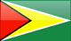 Guyana flag
