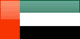 UAE flag